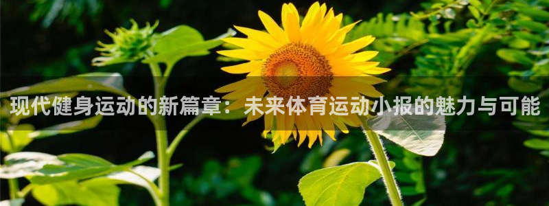91体育在线登陆