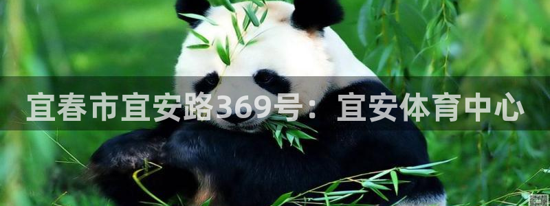 91体育