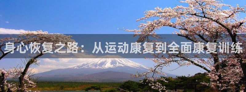 991体育综合1：身心恢复之路：从运动康复到全面康复训练