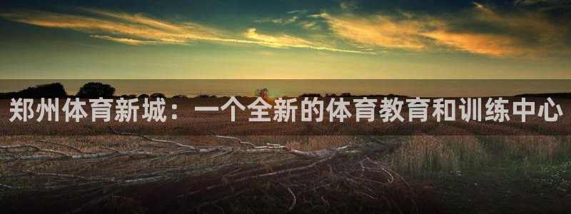 91体育网页版