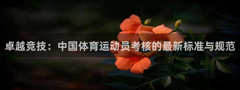 关键词