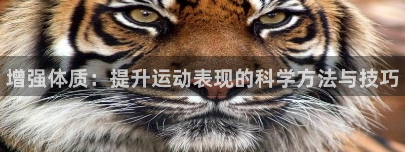 91体育在线登陆