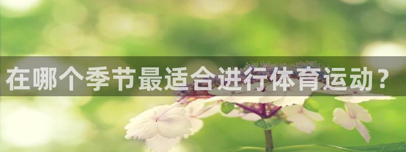 91体育网页版