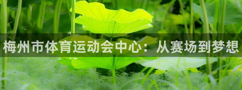 191体育馆